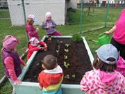 Zahradničíme ve školce